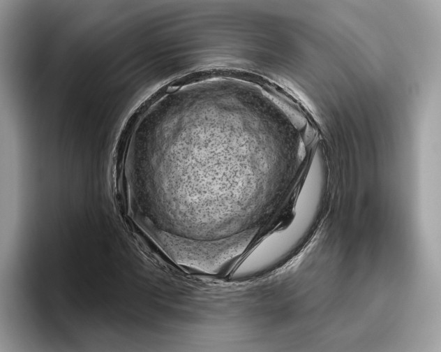 X0000095960877200801251148