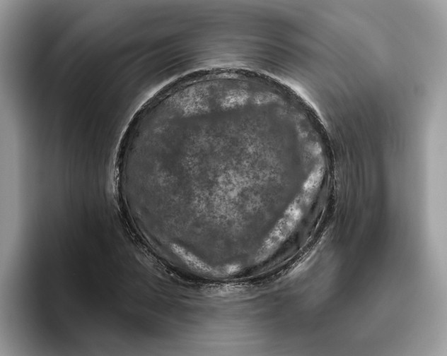 X0000095960879200801251148