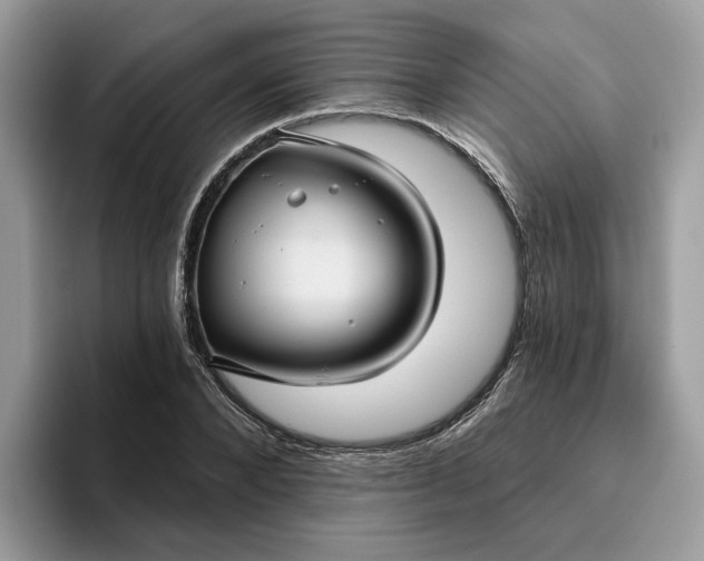 X0000095960880200801251148