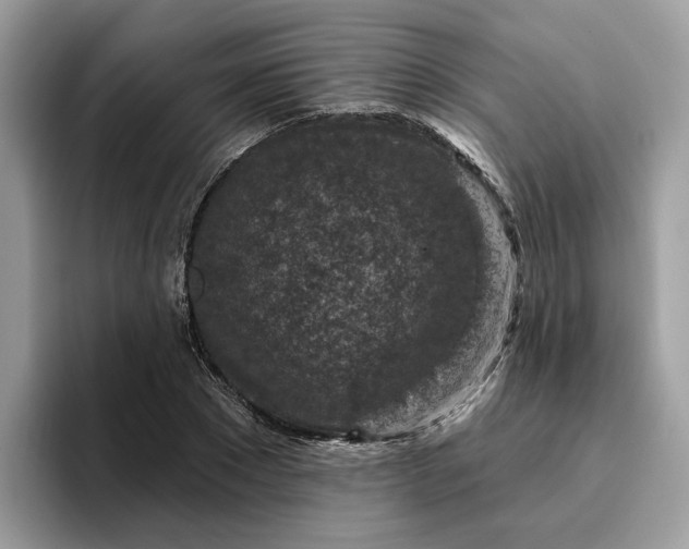 X0000095960881200801251148