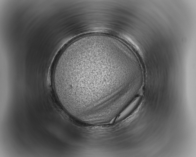 X0000095960883200801251148