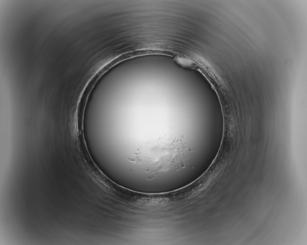 X0000095960884200801251148