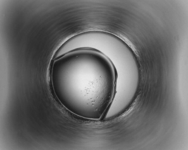 X0000095960885200801251148