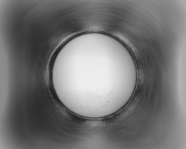 X0000095960886200801251148