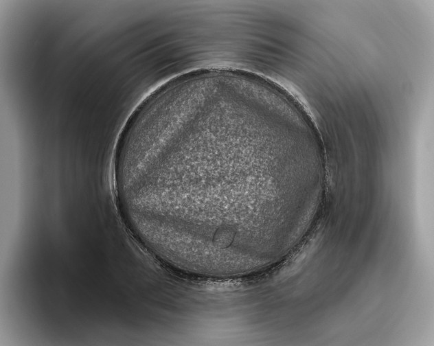 X0000095960887200801251148