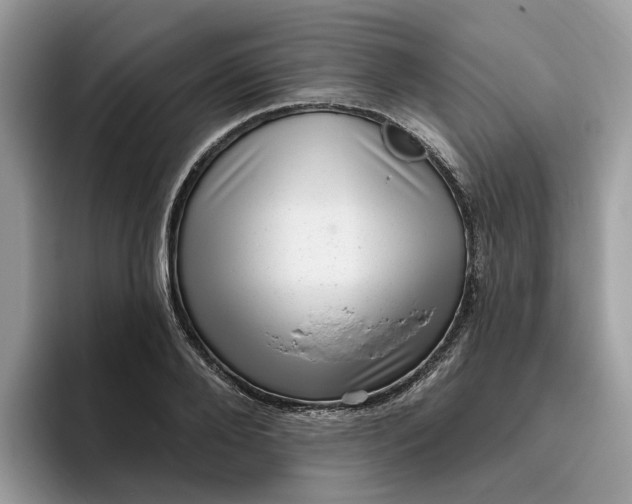 X0000095960888200801251148