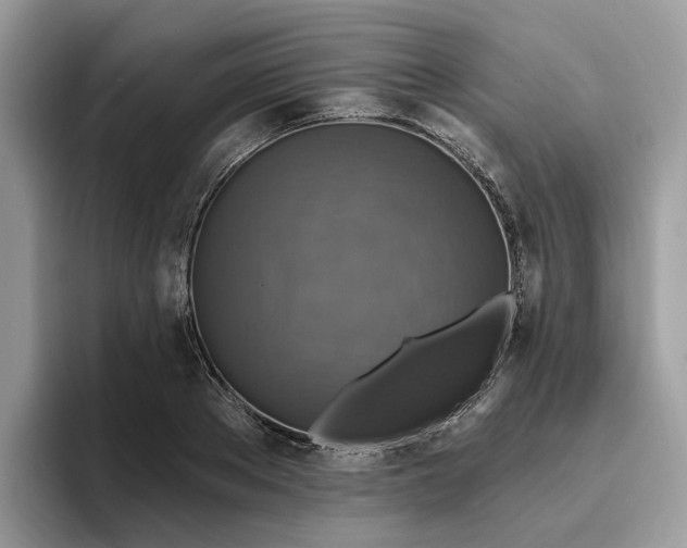 X0000095960889200801251148