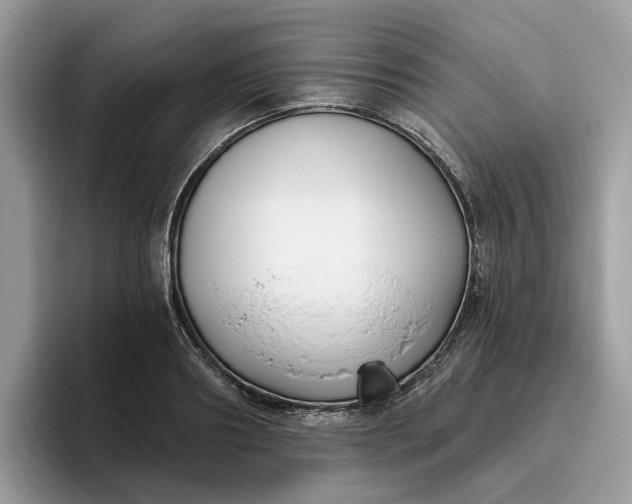 X0000095960890200801251148