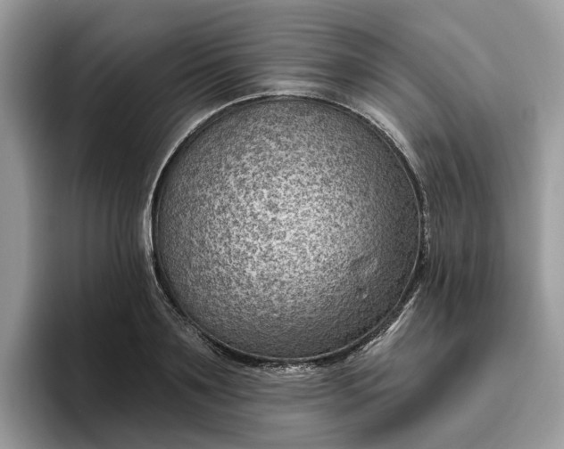 X0000095960891200801251148