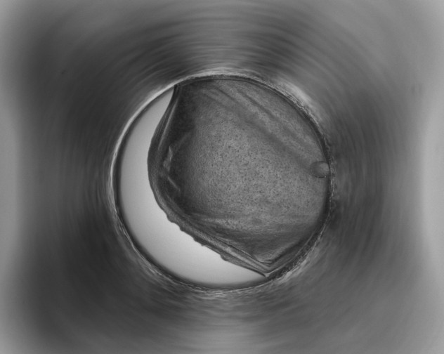 X0000095960892200801251148