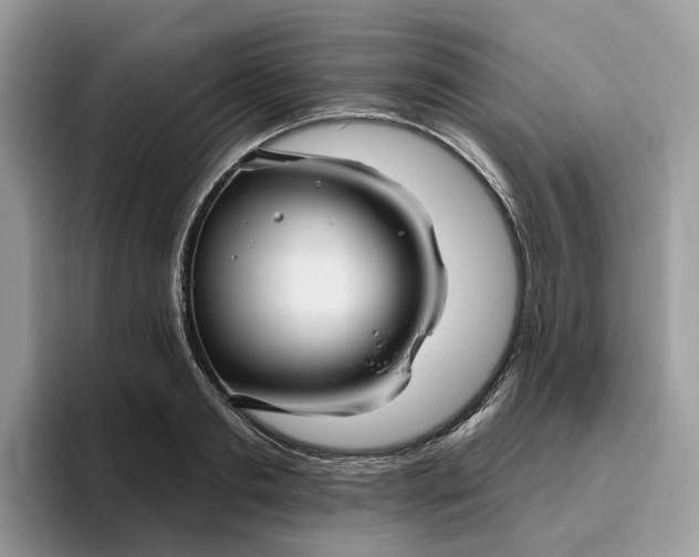 X0000095960893200801251148