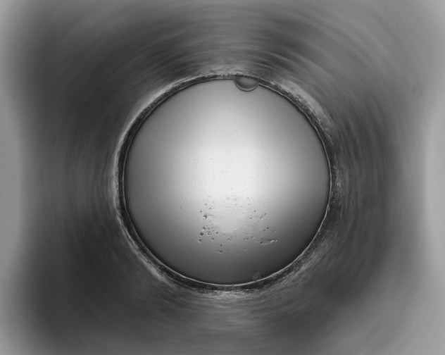 X0000095960894200801251148