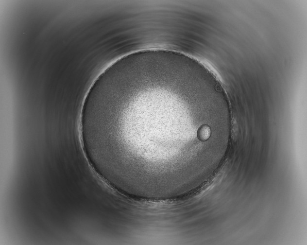 X0000095960895200801251148