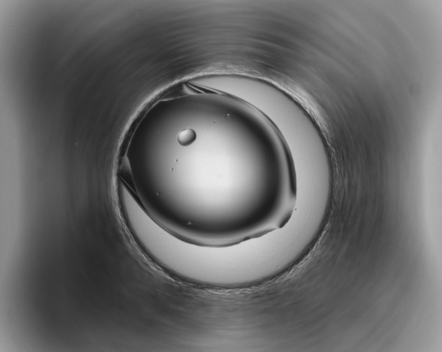 X0000095960896200801251148