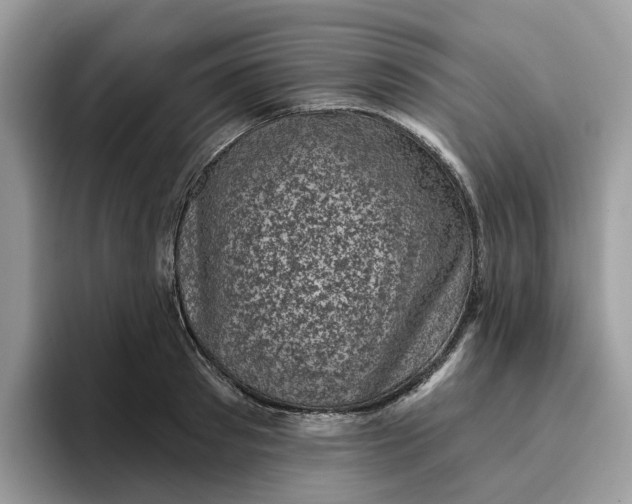 X0000095960897200801251148