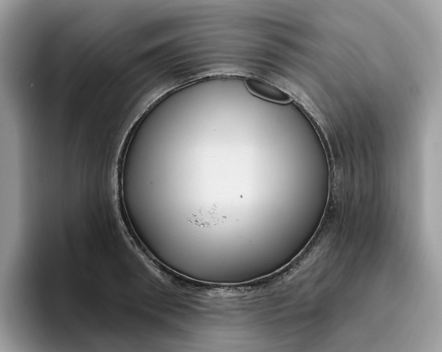 X0000095960898200801251148