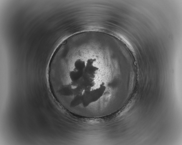 X0000095960899200801251148