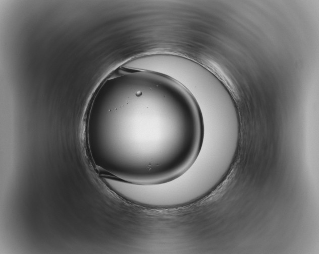 X0000095960900200801251148