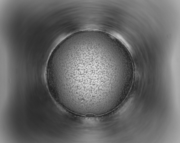 X0000095960901200801251148