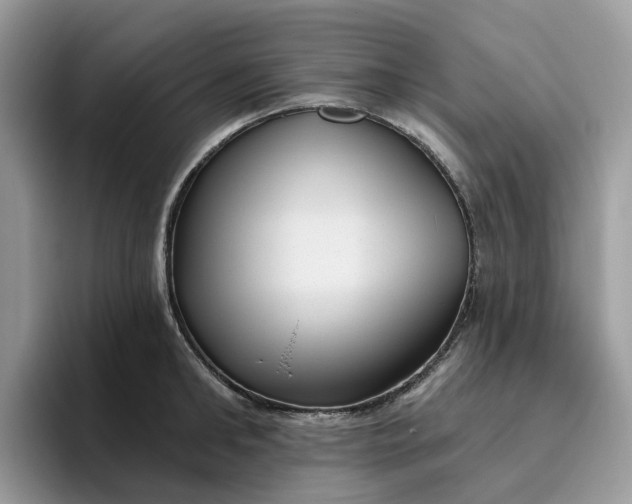 X0000095960902200801251147