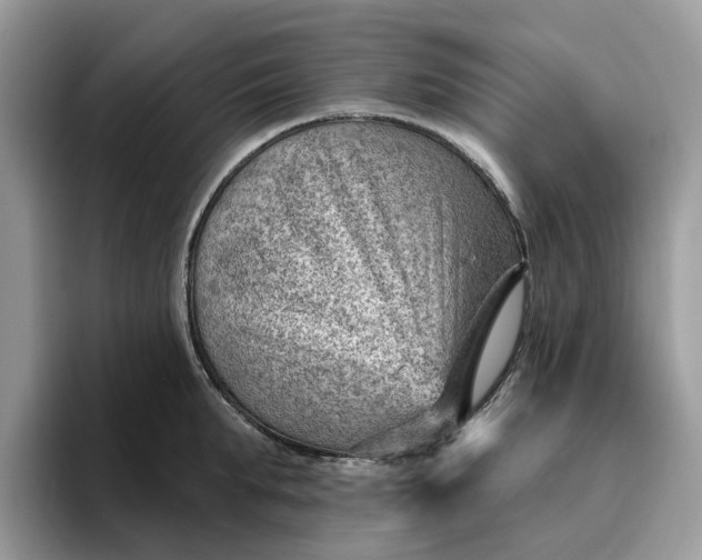 X0000095960903200801251147