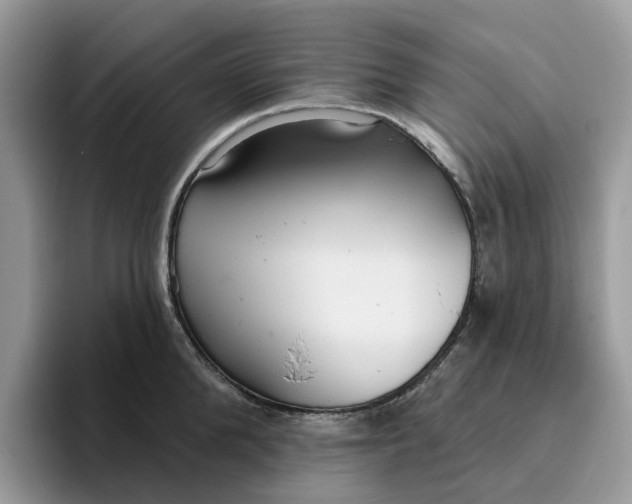 X0000095960904200801251147