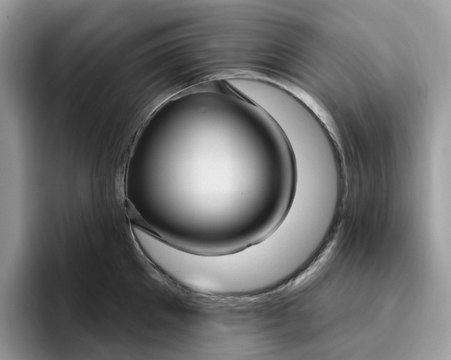 X0000095960905200801251147