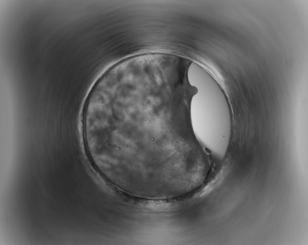 X0000095960907200801251147