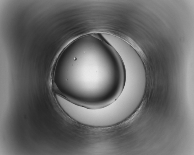 X0000095960908200801251147