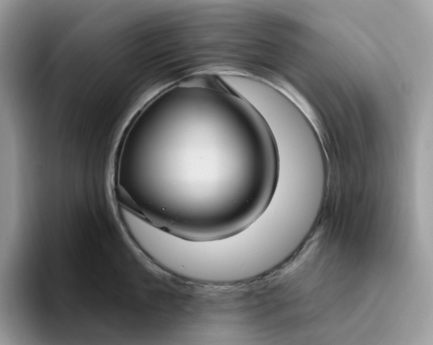 X0000095960909200801251147