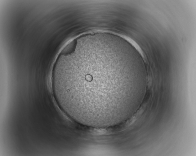 X0000095960911200801251147