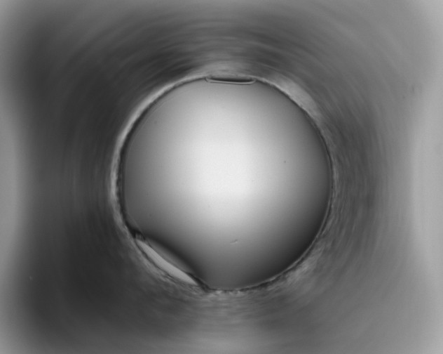 X0000095960912200801251147