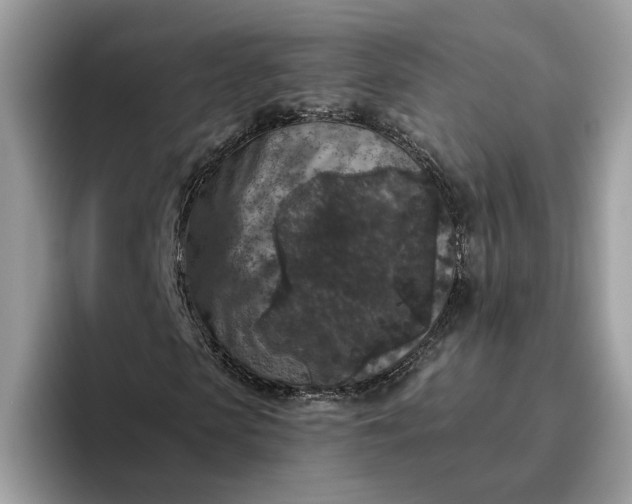 X0000095960913200801251147