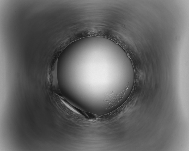 X0000095960914200801251147