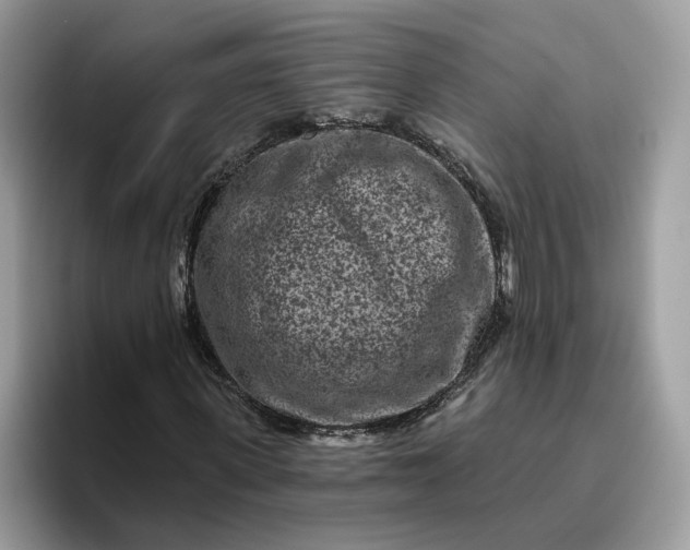 X0000095960915200801251147