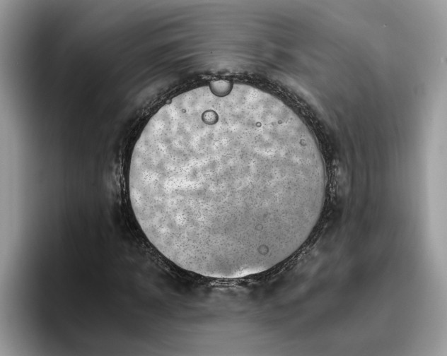 X0000095960918200801251147