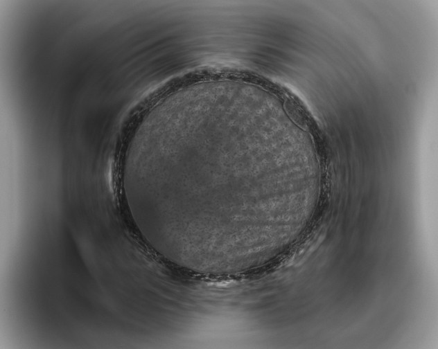 X0000095960919200801251147