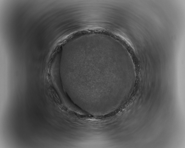 X0000095960920200801251147