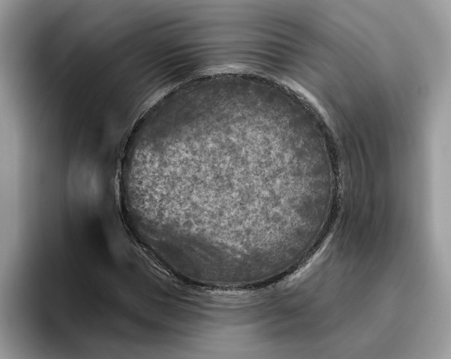 X0000095960921200801251147