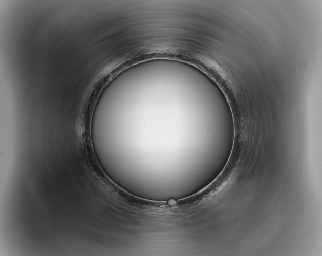 X0000095960922200801251147