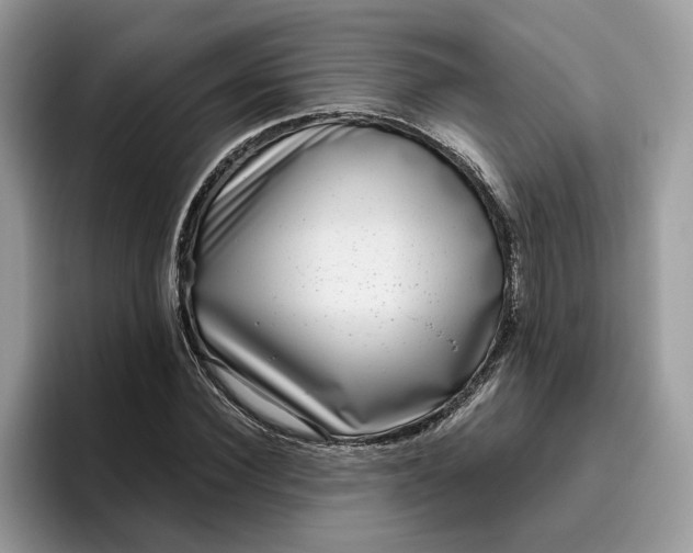 X0000095960924200801251147