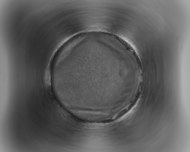 X0000095960925200801251147