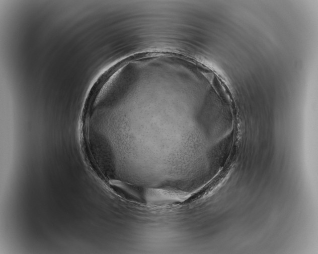 X0000095960928200801251147