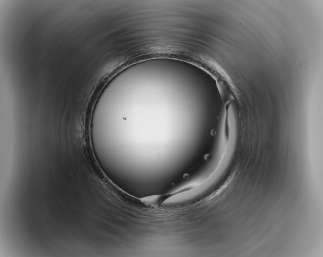 X0000095960930200801251147