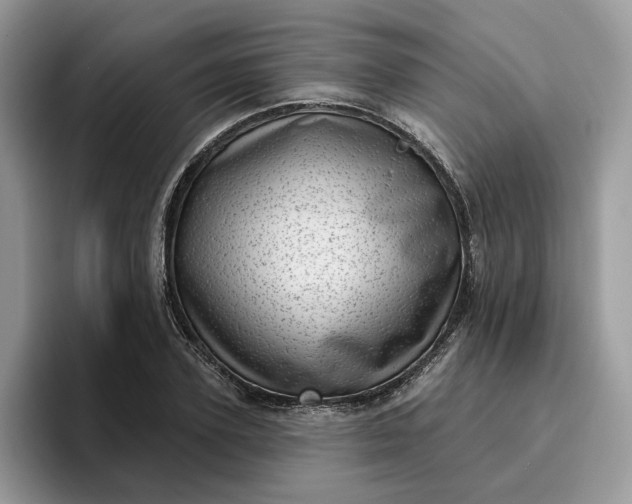 X0000095960931200801251147