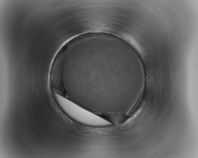 X0000095960932200801251147