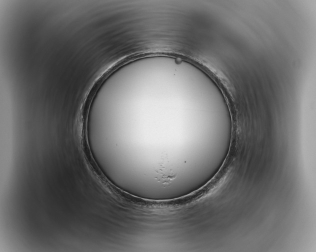 X0000095960933200801251147