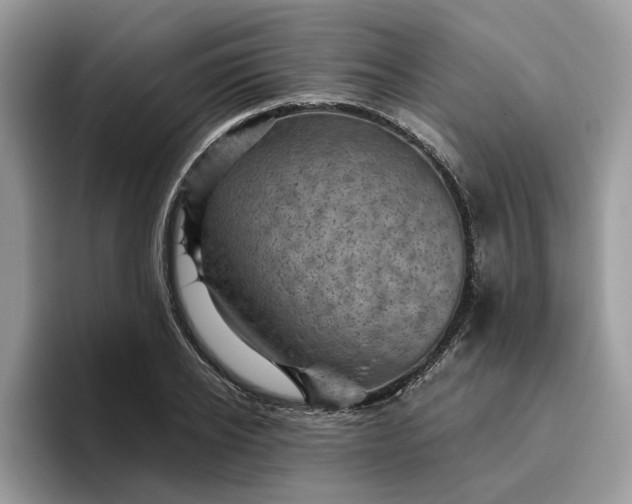 X0000095960934200801251147