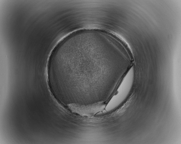 X0000095960935200801251147