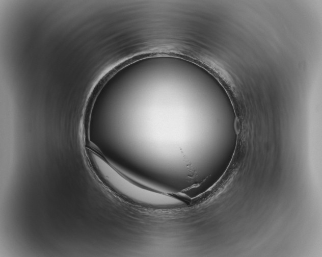 X0000095960936200801251147